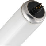 Picture of F48T12/N/HO 60W 48" High Output Natural Fluorescent Lamp