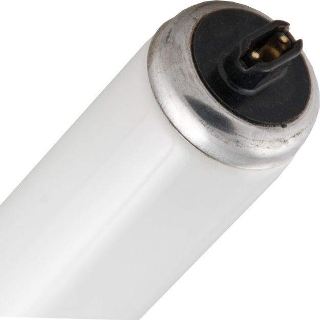 Picture of F48T12/N/HO 60W 48" High Output Natural Fluorescent Lamp